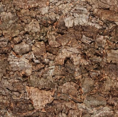 Bark