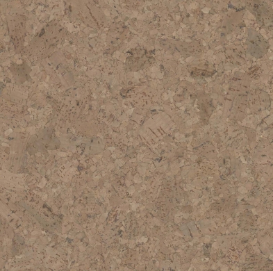 Sahara